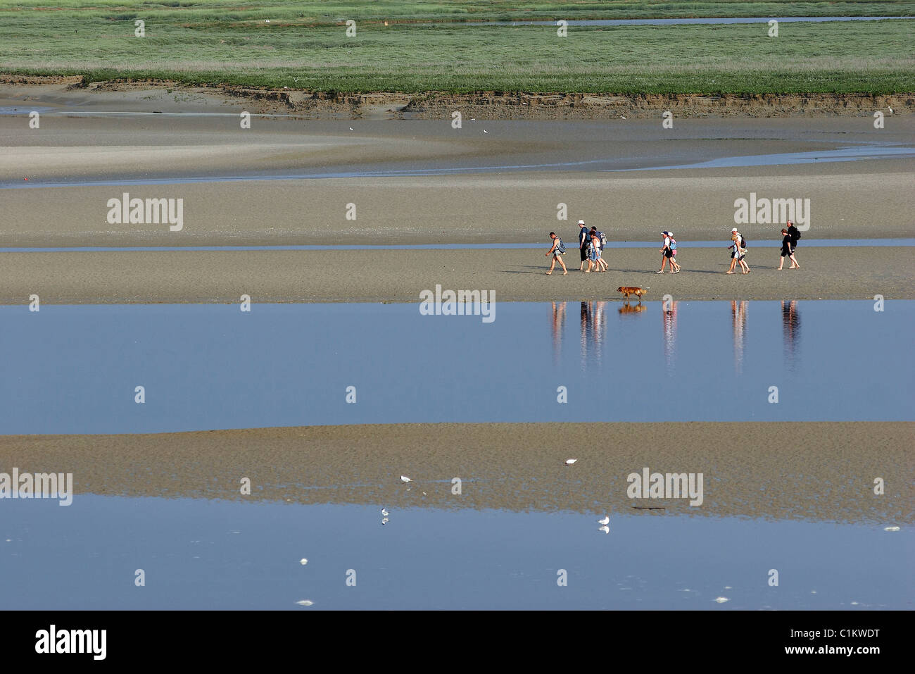 Frankreich, Somme, Küsten Somme, Baie de Somme, Überquerung der Bucht mit einem Naturführer Stockfoto