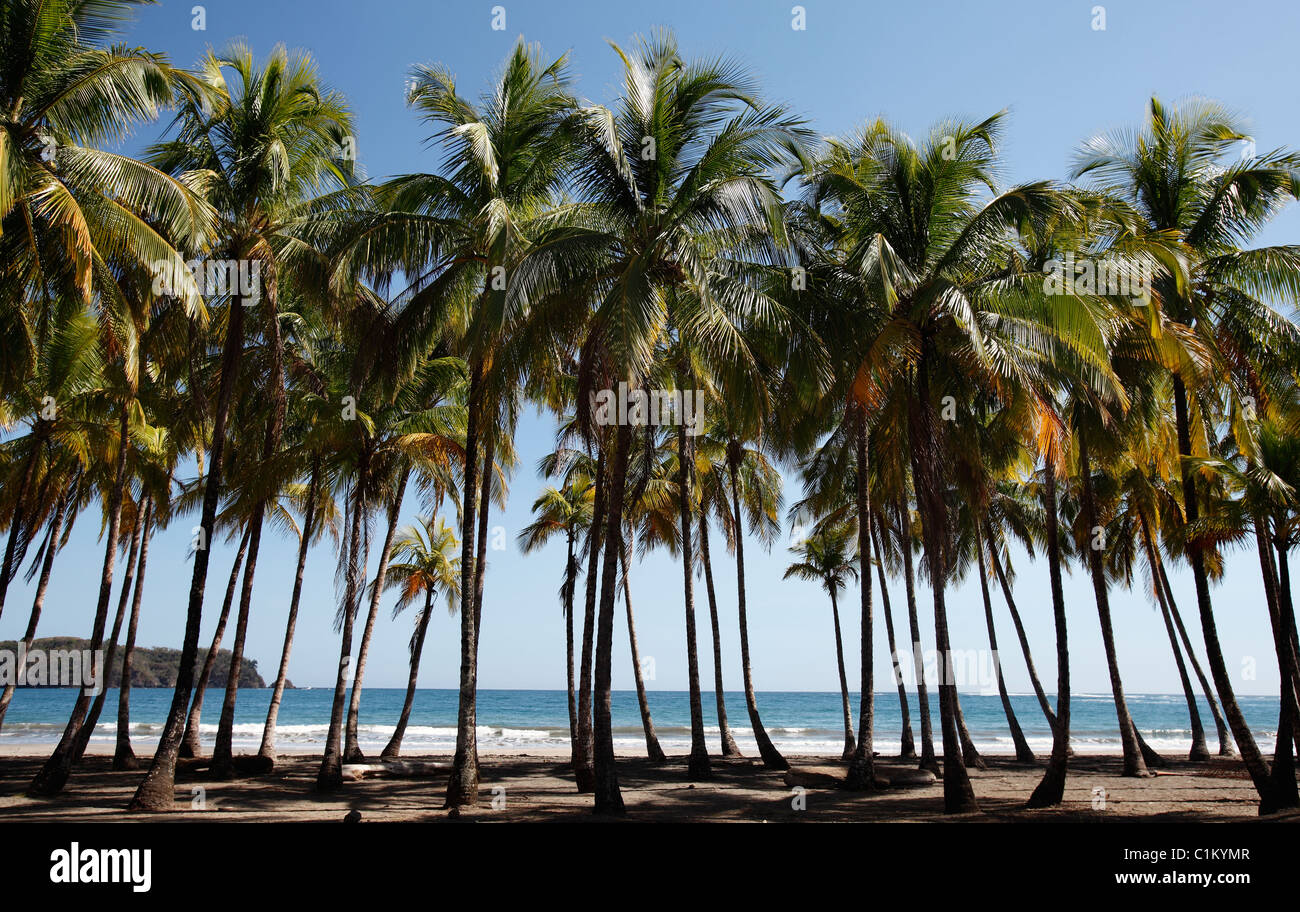 Playa Carillo, Halbinsel Nicoya, Costa Rica Stockfoto
