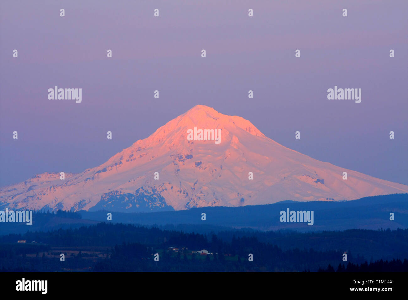 40,243.06818 Mt Hood (11,240'), Sonnenuntergang alpenglow und blauen Dunst ab 60 Meilen westlich gesehen. Malerische, Schnee, Frühling. Stockfoto