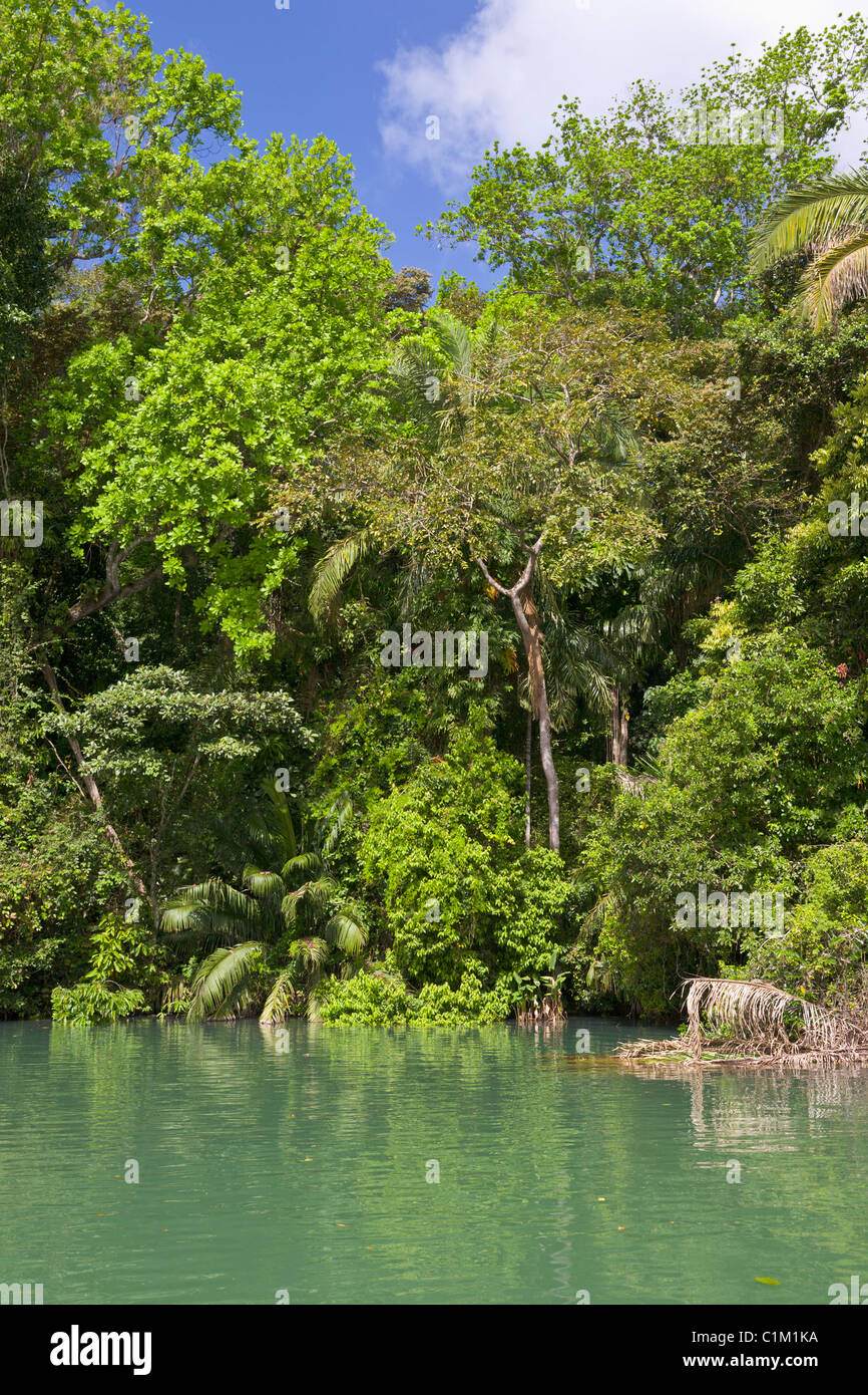 Gatun See, Panama Stockfoto