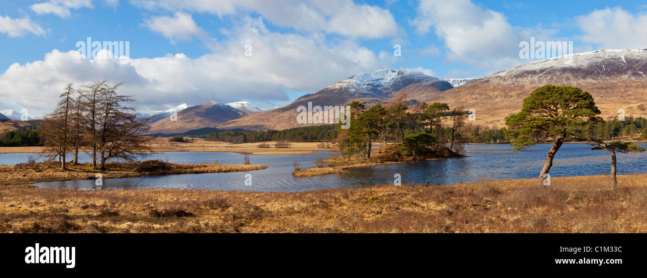 Caladonian Kiefern um Loch Tulla in der Nähe von Bridge of Orchy Stob Ghabhar und Stob a'Choire Rannoch moor, Argyll und Bute Schottland Stockfoto