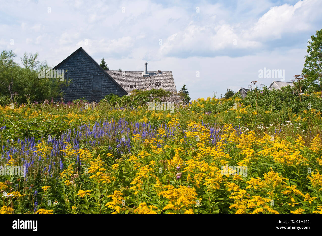 Quebec, Kanada. Historische Siedlung auf Ile Bonaventure vor der Küste von Perce. Stockfoto