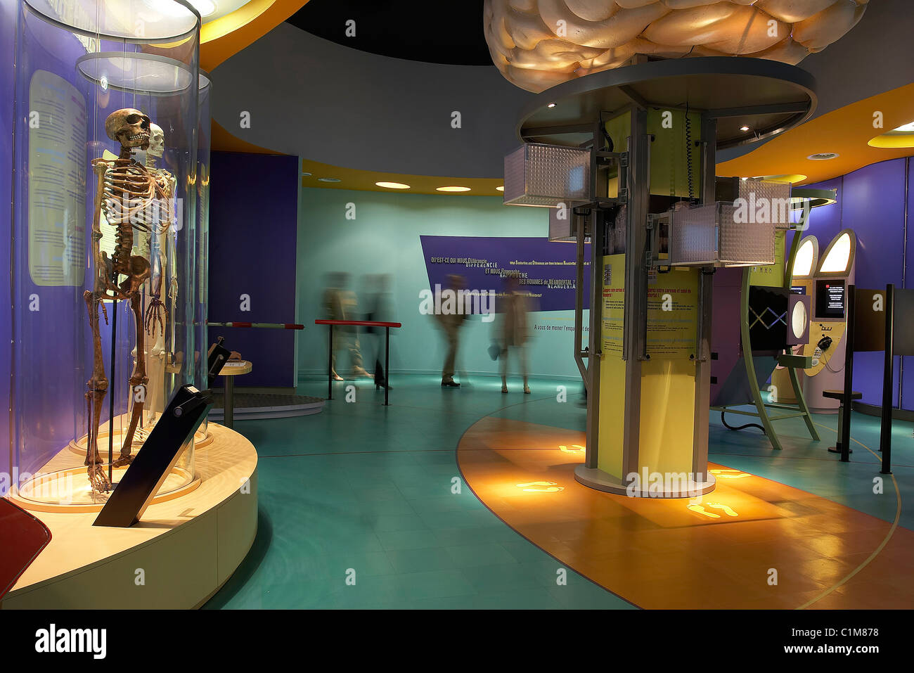 Frankreich, Charente Maritime, die Paleosite in Saint Cesaire, Zimmer von interaktiven workshops Stockfoto