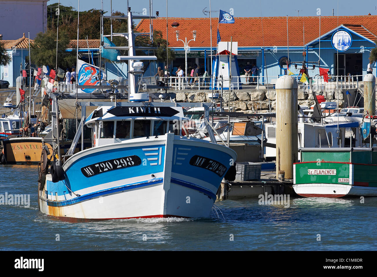 Frankreich, Charente Maritime, Oléron Insel, die Rückkehr der Fischer im Hafen von La Cotiniere Stockfoto