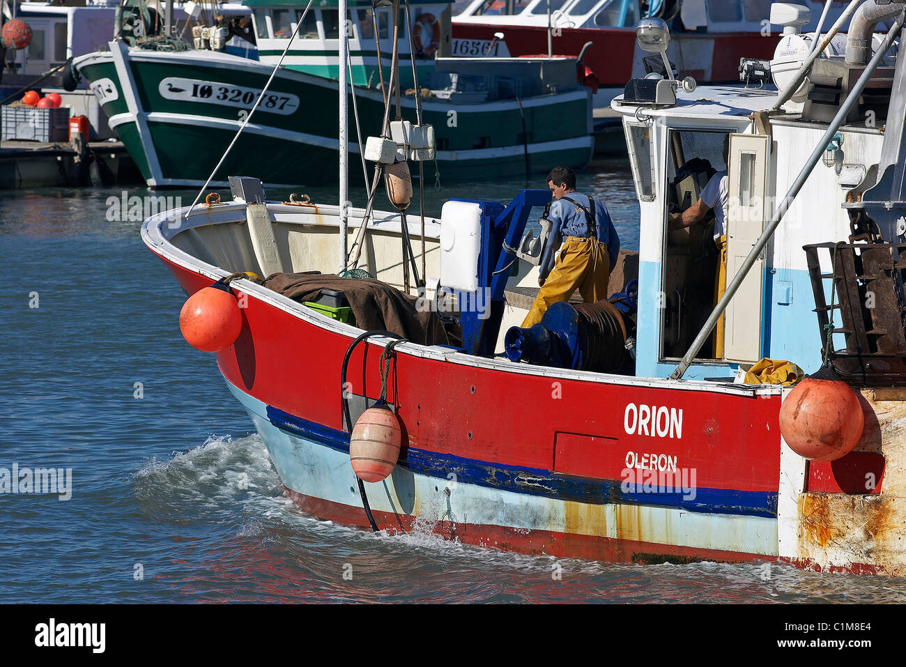 Frankreich, Charente Maritime, Ile d'Oleron, die Rückkehr der Fischer im Hafen von La Cotiniere Stockfoto