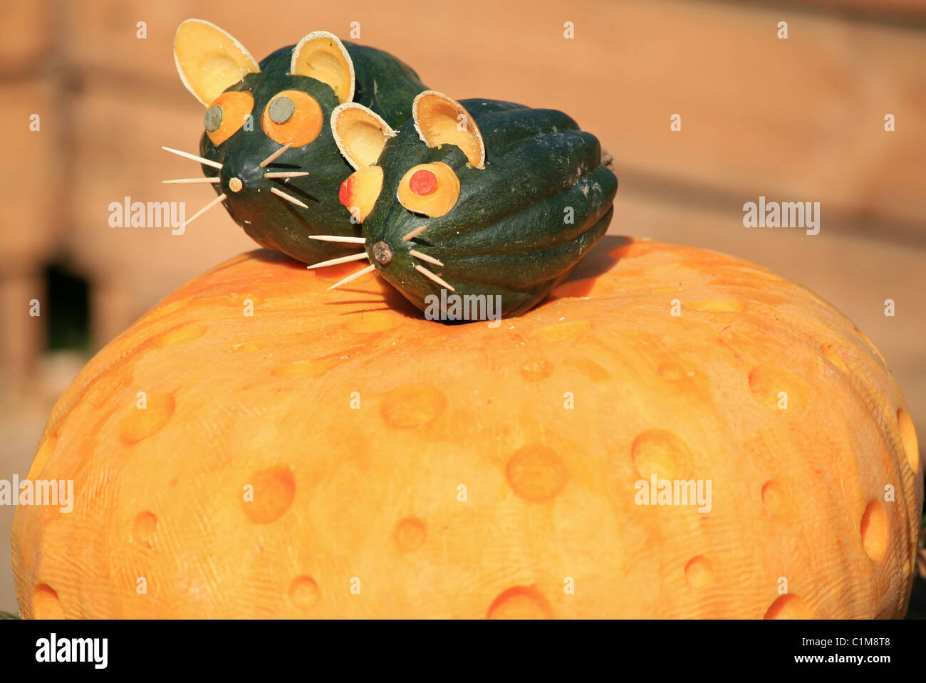 Zwei Mäuse der kleine Kürbisse sitzt auf einem Kürbis geschnitzt wie ein Schweizer Käse Stockfoto