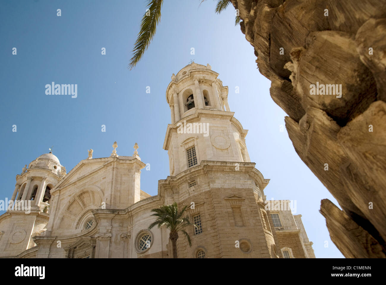 Kathedrale Fassade und Palm Tree, Andalusien, Cadiz, Spanien Stockfoto