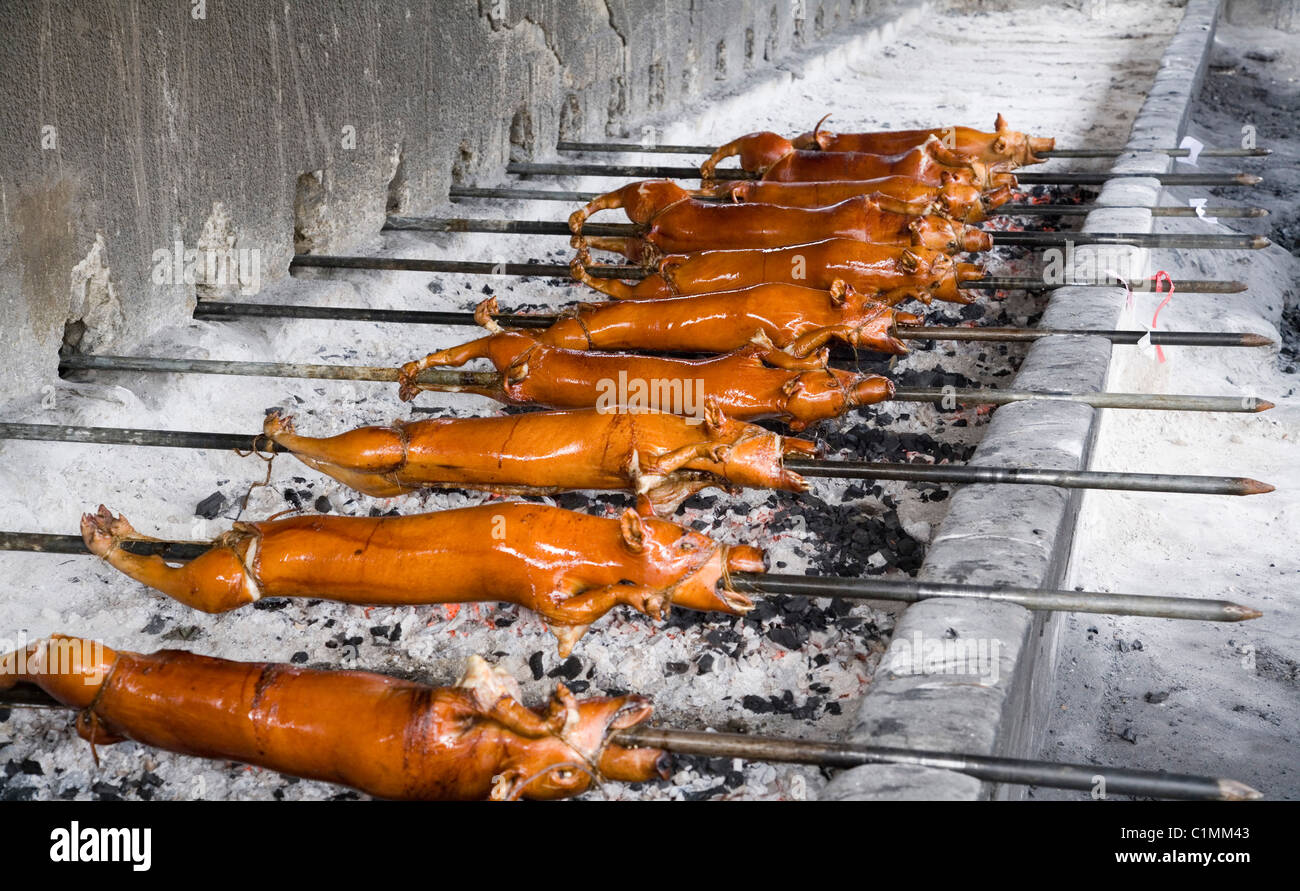 kommerzielle Rösten von Schweinen. Gebratenes Schwein ist ein beliebtes Filipino Gericht oft bei besonderen Anlässen serviert. Stockfoto