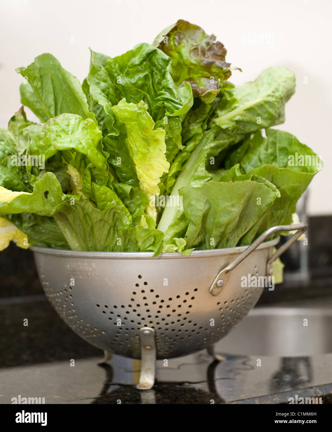 Frisch gewaschene Salat Stockfoto