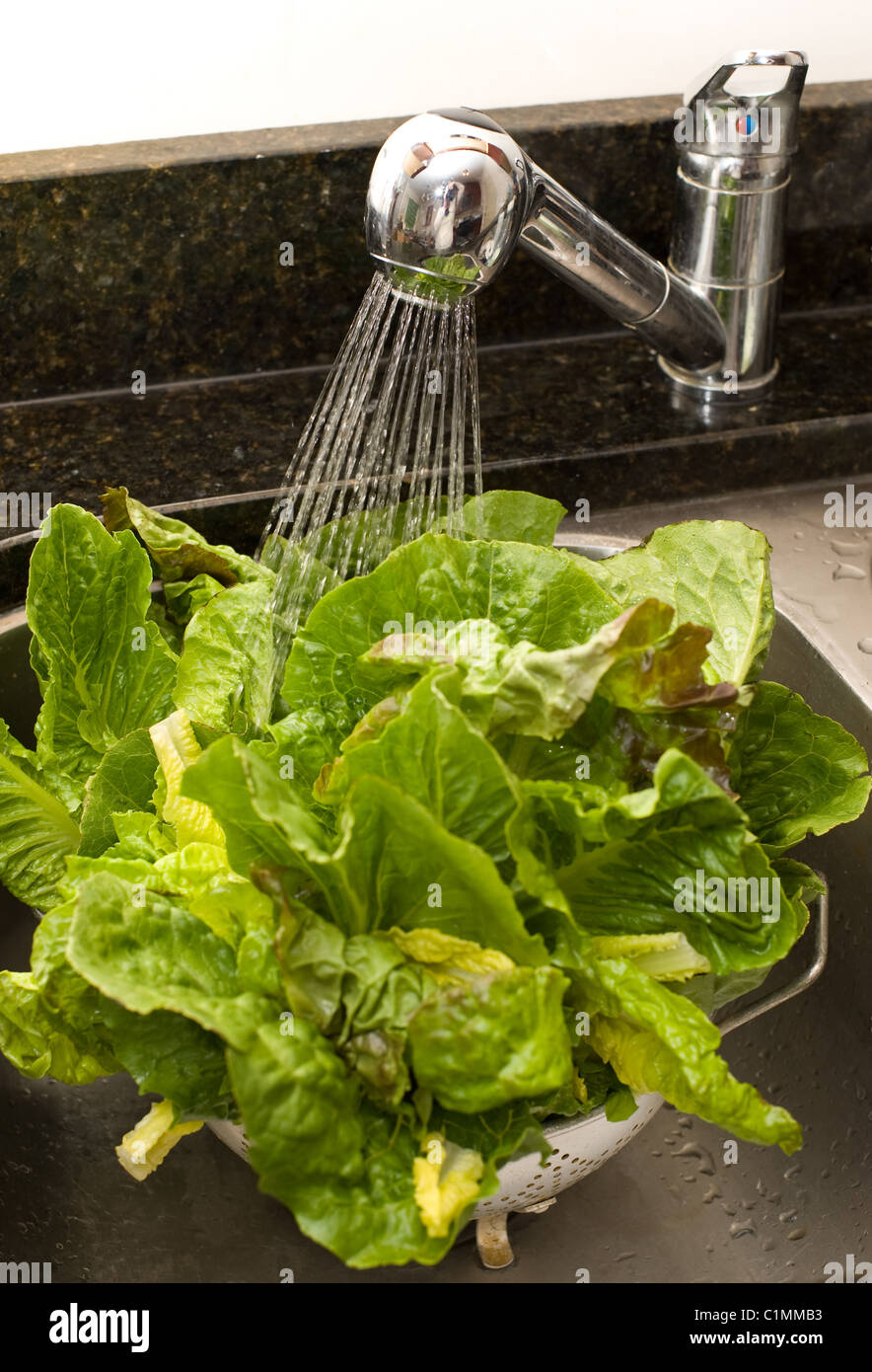 Waschen von Salat, um Schmutz und Bakterien entfernen Stockfoto