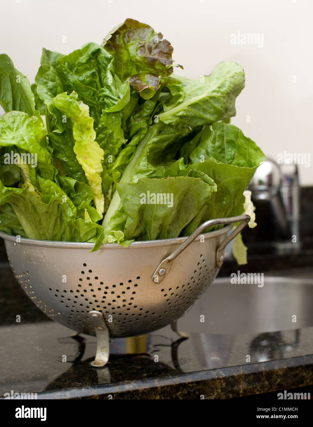 Frisch gewaschene Salat Stockfoto