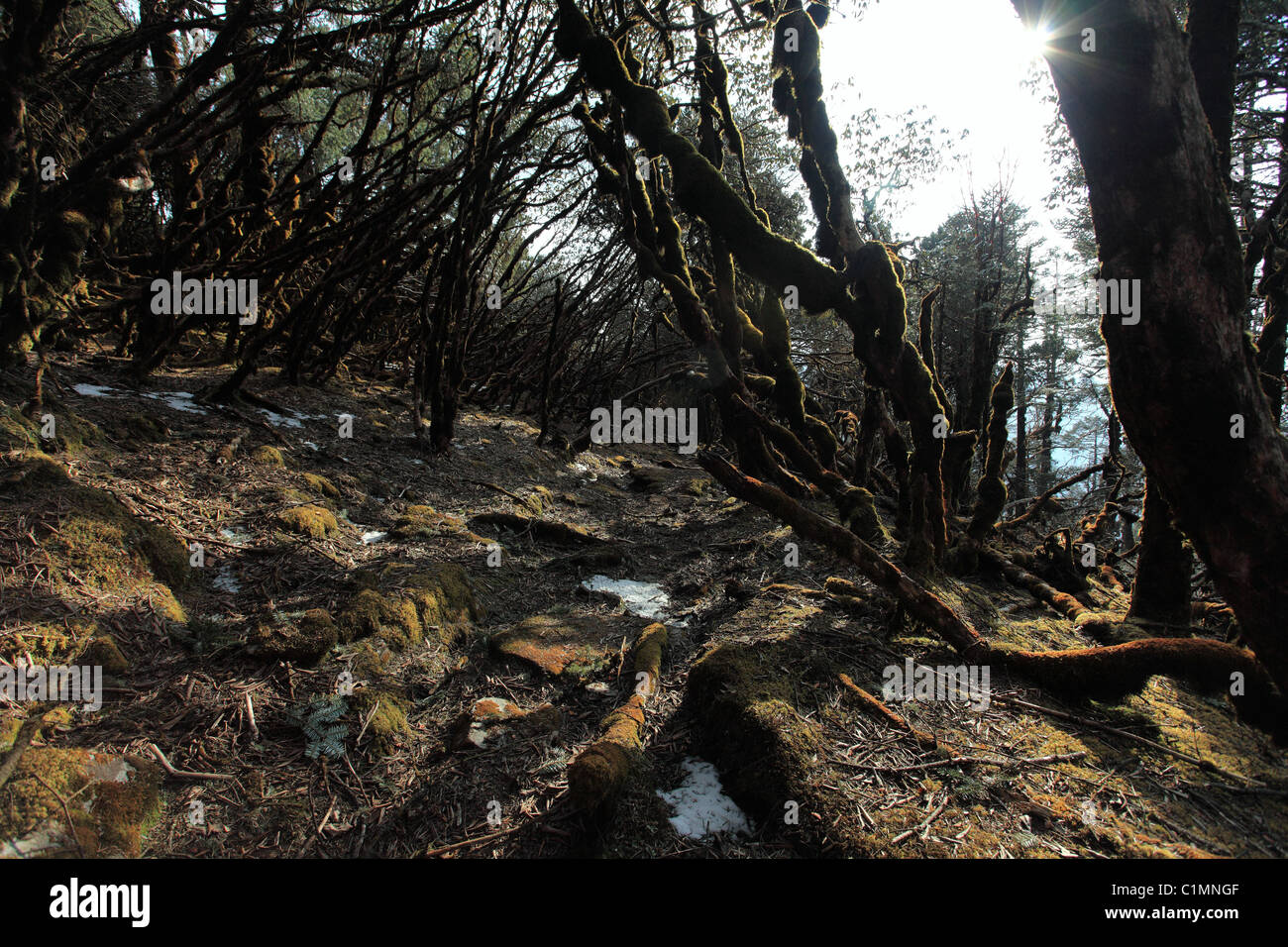 Nepalesische Landschaft Nepal Himalaya Stockfoto