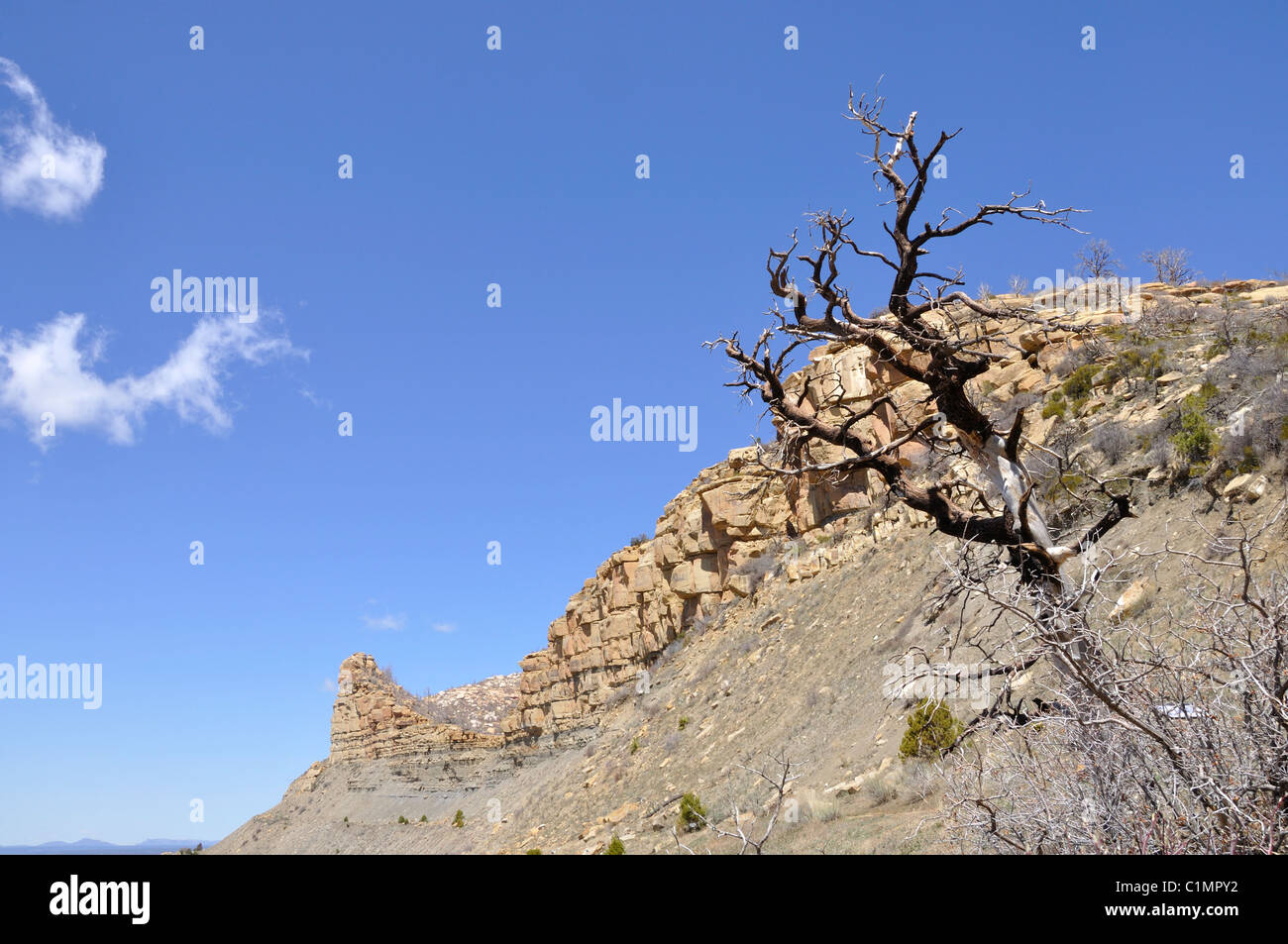 Mesa Verde Nationalpark Felsen, New Mexico, USA Stockfoto