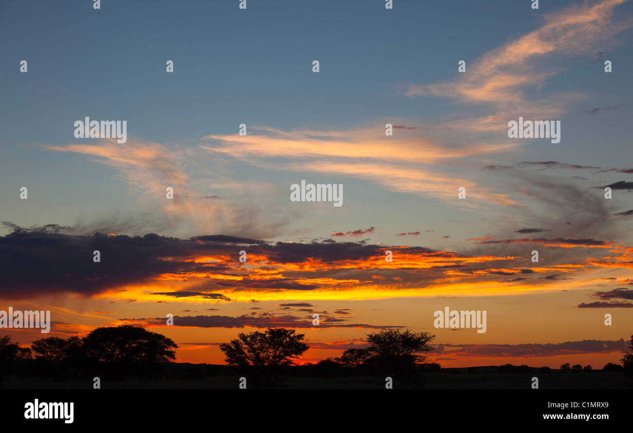 Kalahari-Sonnenuntergang Stockfoto