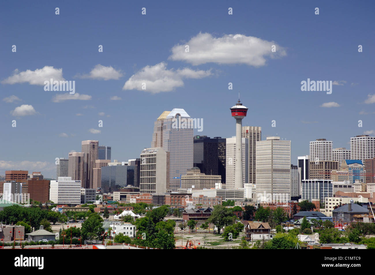 Skyline von Calgary Alberta Kanada im Sommer. Stockfoto