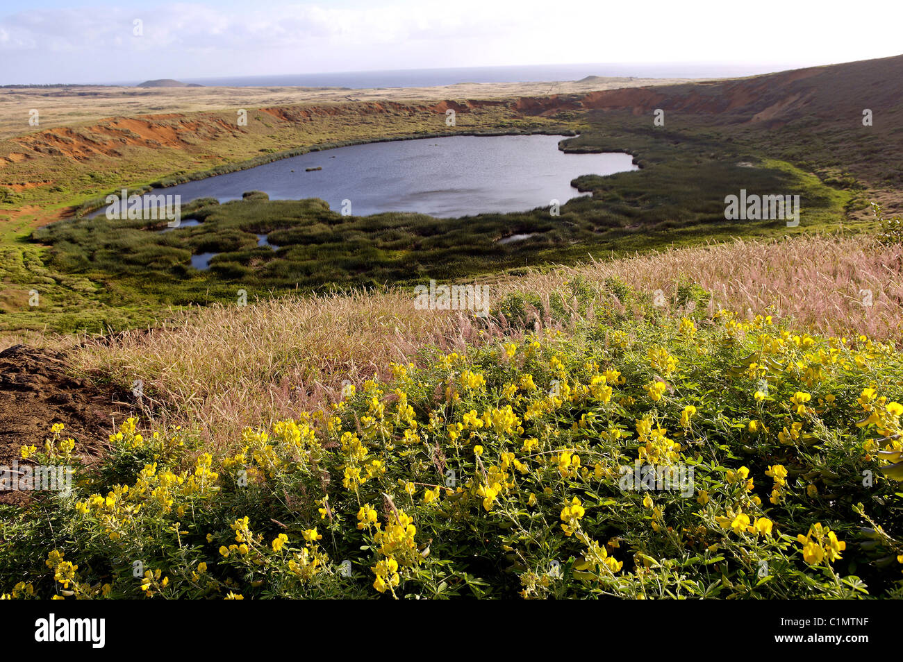 Chile-Osterinsel konsolidiert ein Süßwassersee, gesäumt von Schilf genannt Tortora ist Rano Raraku einen Vulkankrater gebildet Stockfoto