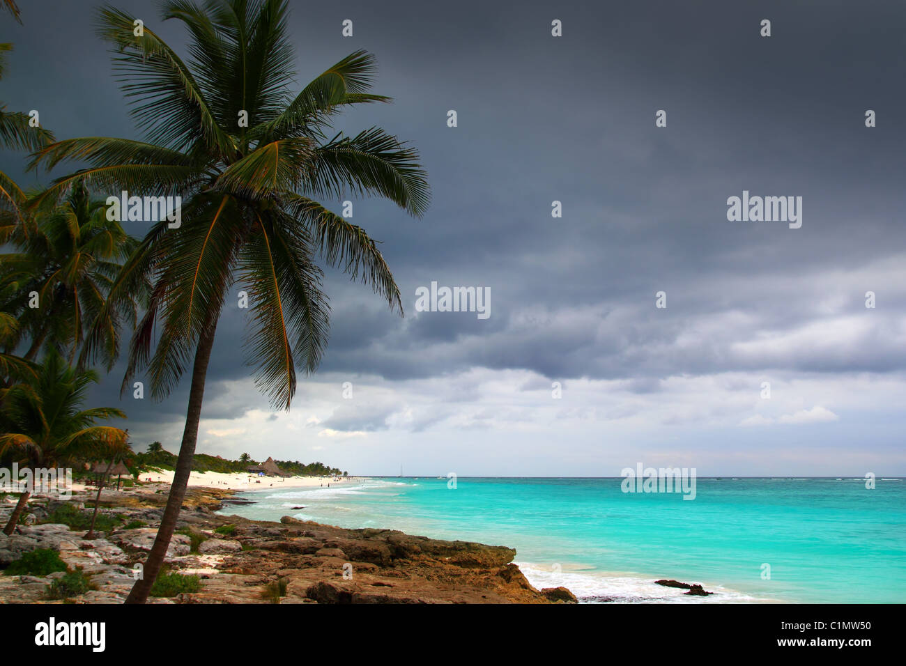 Palmen der Karibik stürmischen Tag in Tulum Mexiko Quintana Roo Stockfoto