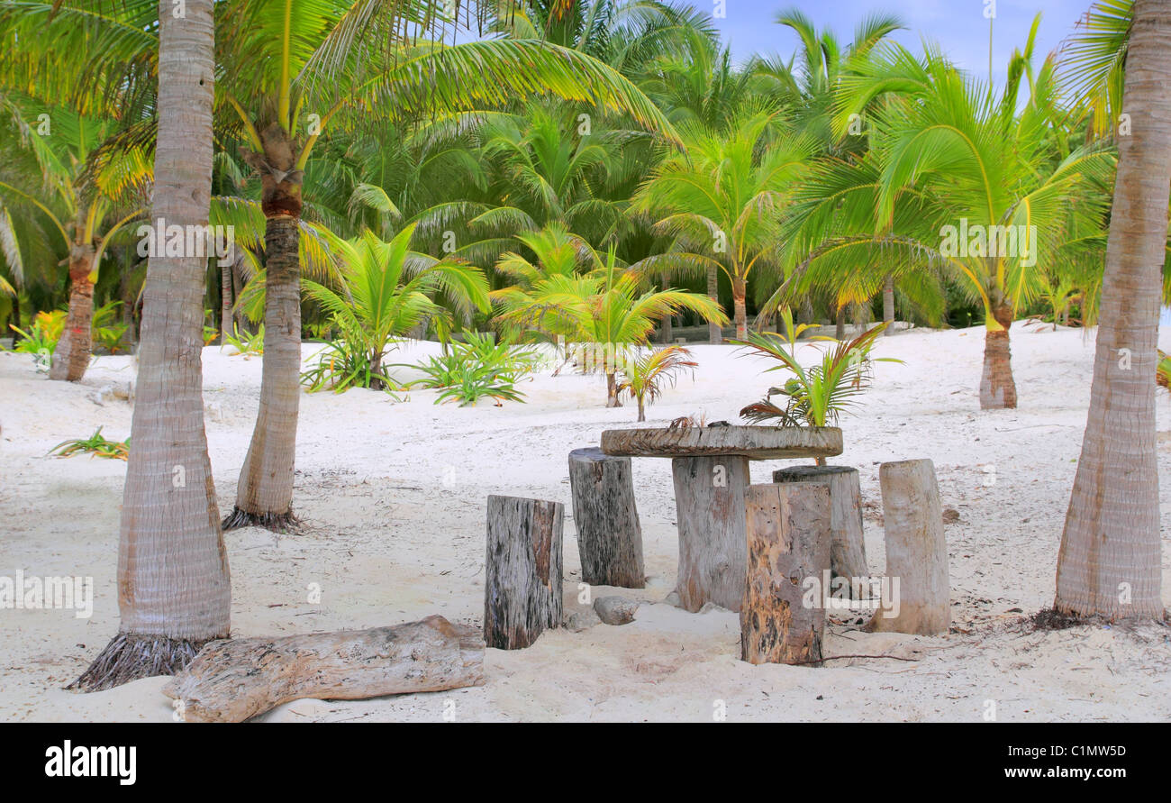Kokosnuss Tulum Bäume Palmenstrand mit Tisch und Stühlen Stamm gemacht Stockfoto