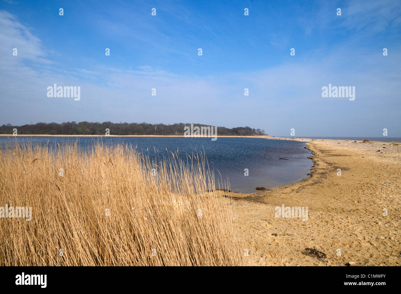 Covehithe und Benacre breit, Suffolk, england Stockfoto