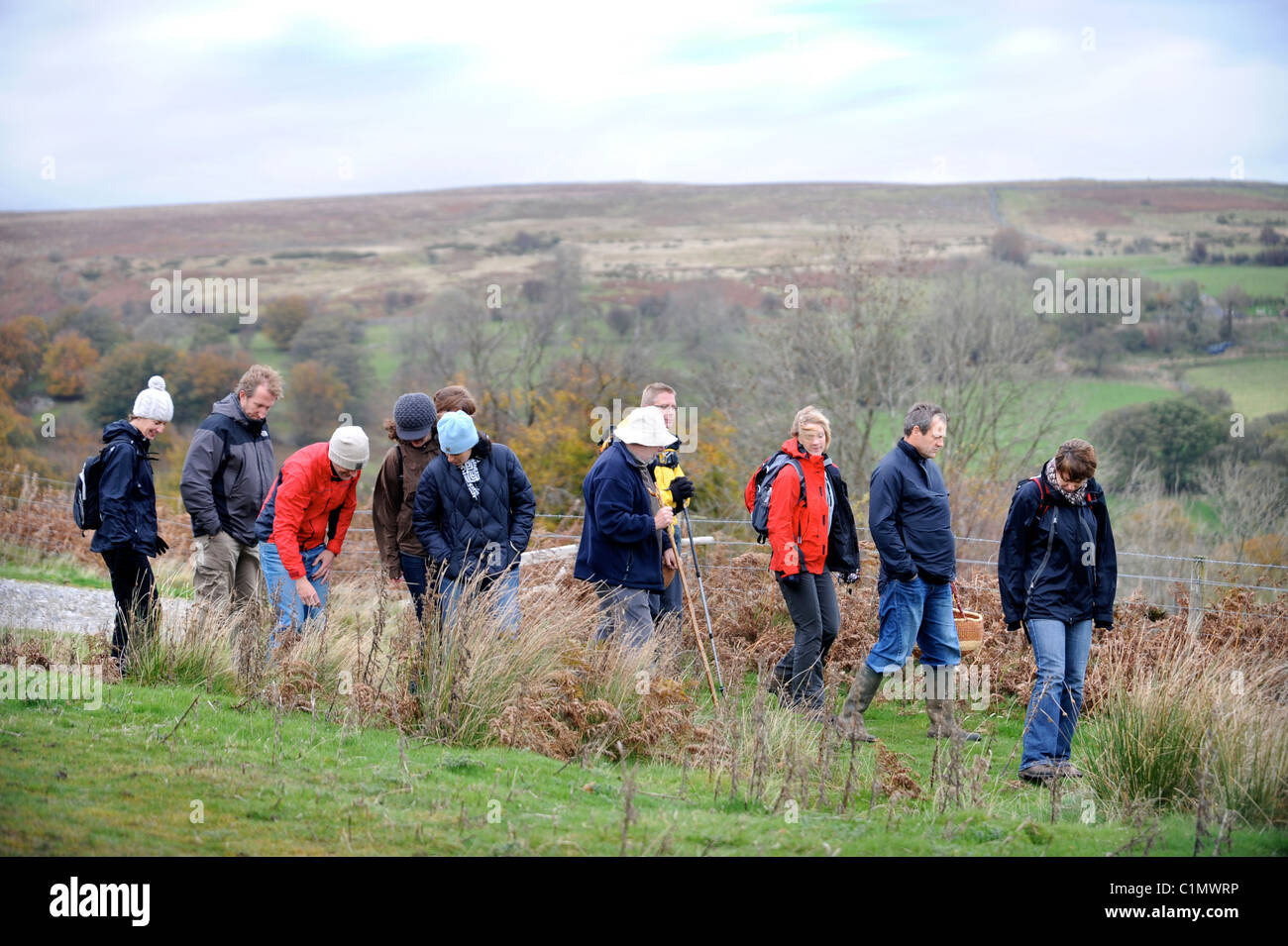 Nahrungssuche Experte Raoul Van Den Broucke führt eine Reisegruppe durch Felder in der Nähe von Upper Llanover Gwent Wales UK Stockfoto