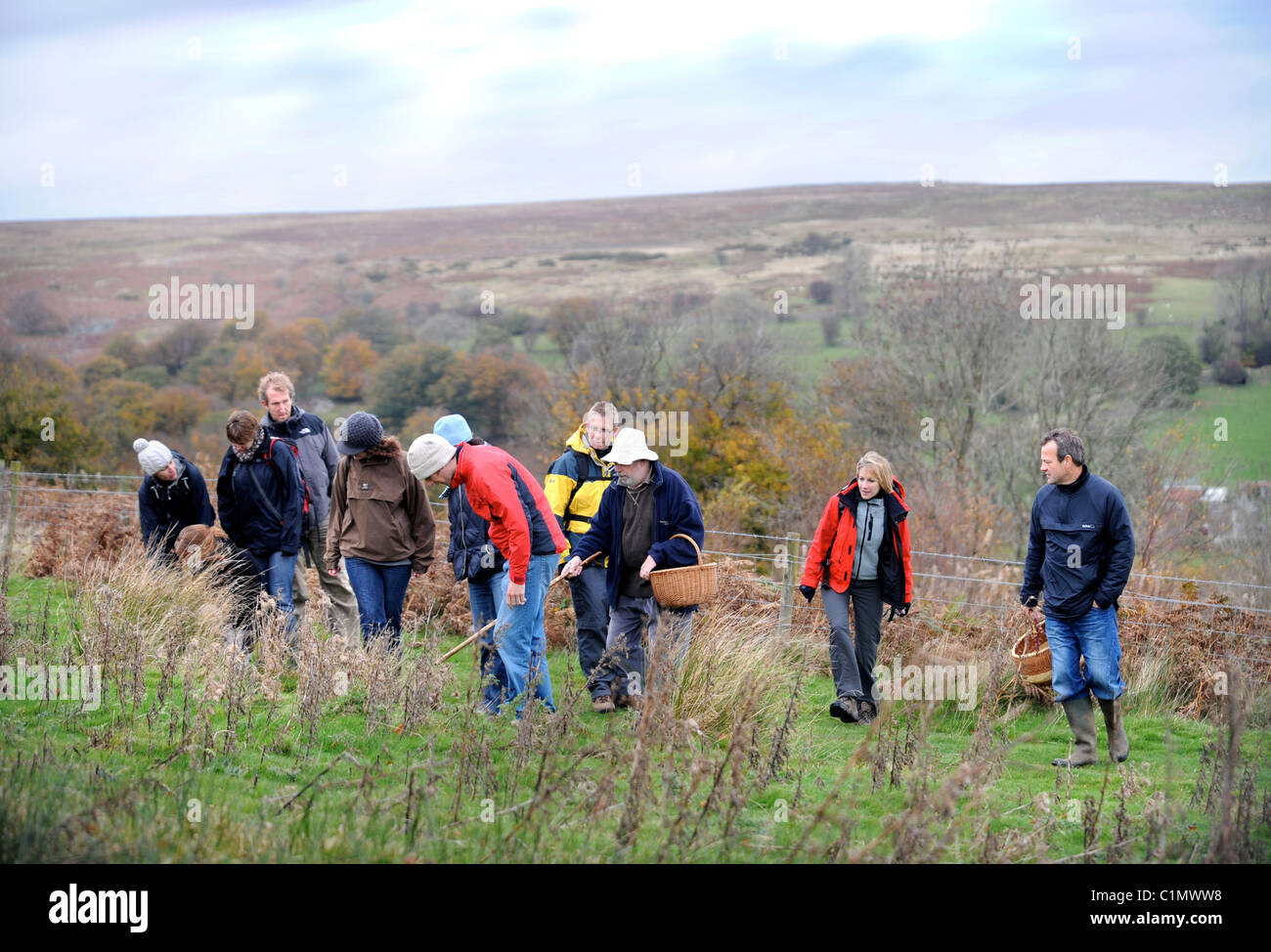 Nahrungssuche Experte Raoul Van Den Broucke führt eine Reisegruppe durch Felder in der Nähe von Upper Llanover Gwent Wales UK Stockfoto
