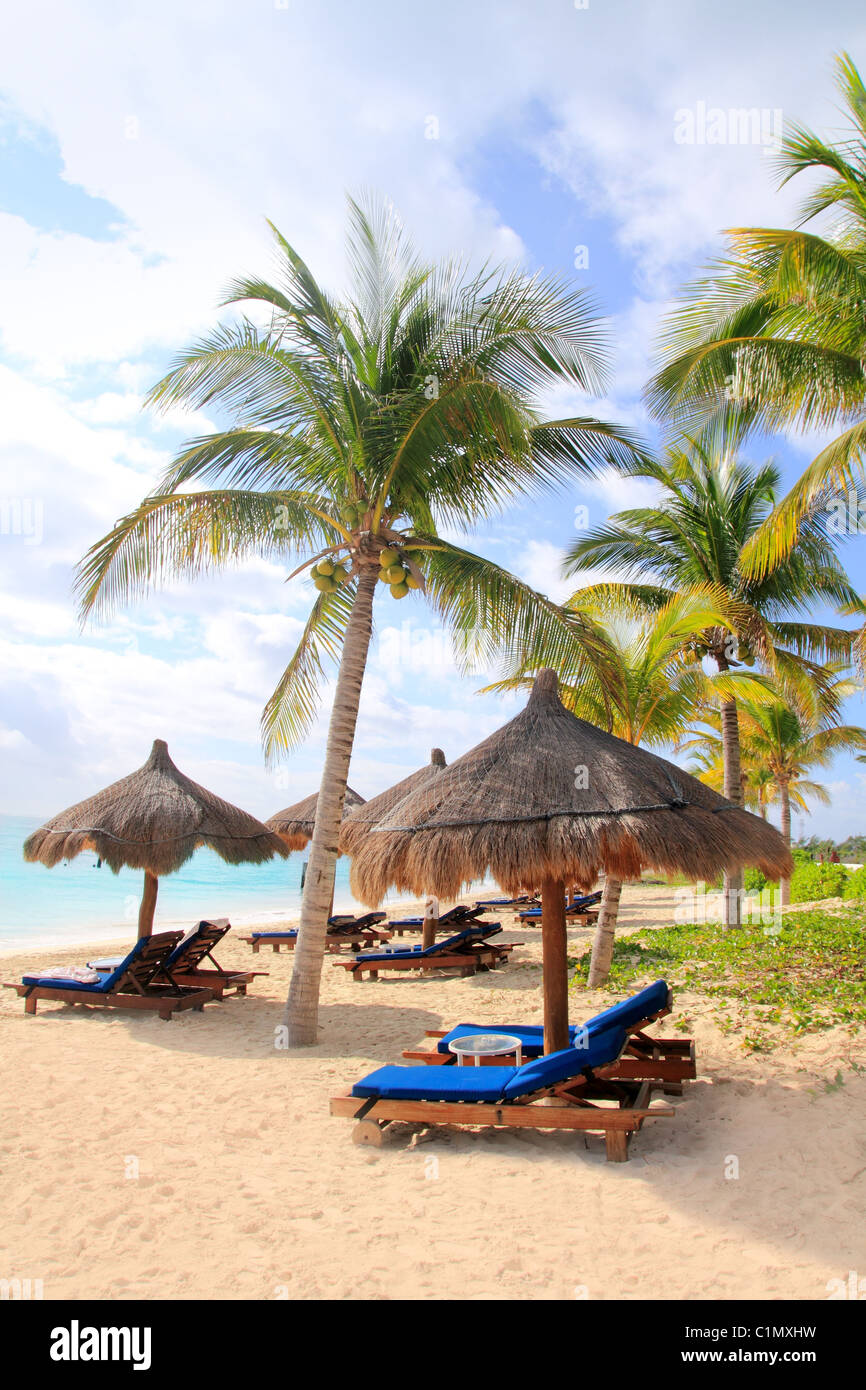 Riviera Maya tropischen Strand Palmen Schiebedach türkisfarbenen karibischen Meer Stockfoto