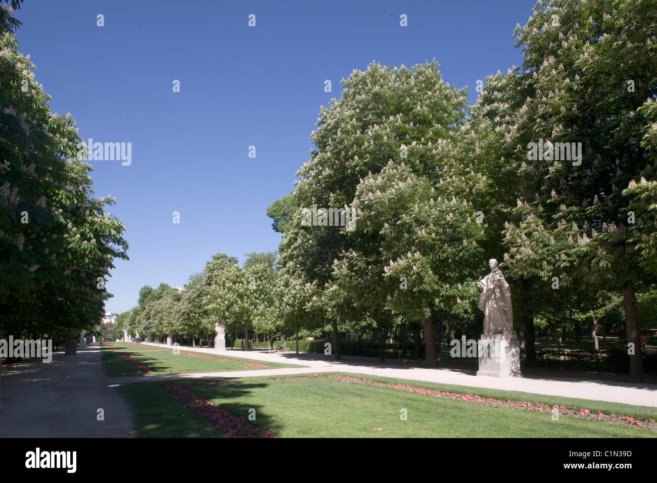 Madrid, Paseo De La Argentina Stockfoto