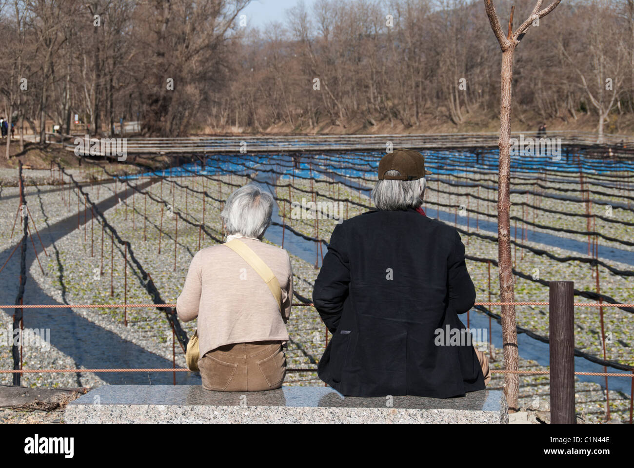 Eine ältere japanische Paar genießt den Blick über die Wasabi-Felder auf der Daio-Wasabi-Farm in Hotaka, Nagano. Stockfoto