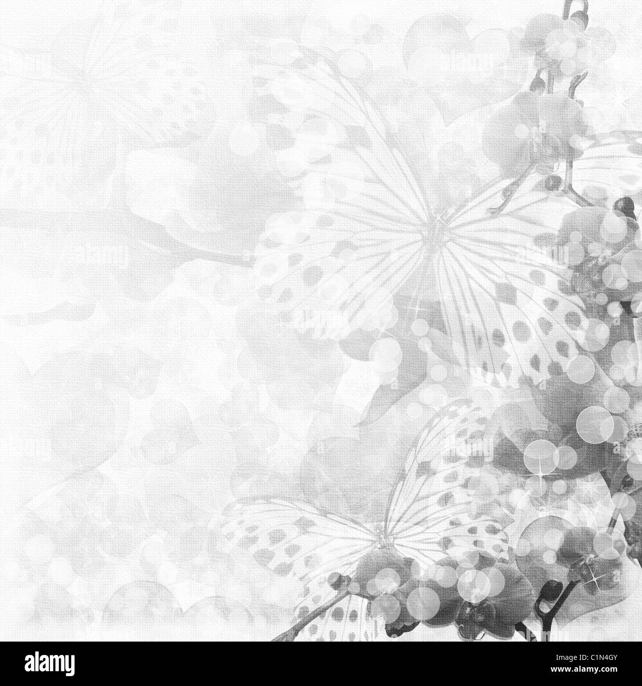 Schmetterlinge und Orchideen Blumen Beige Hintergrund (1 Satz) Stockfoto