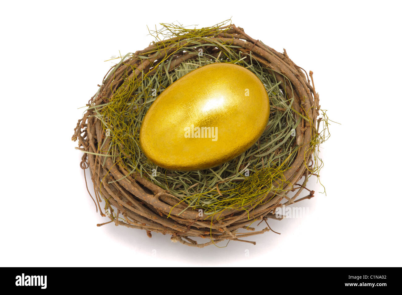 Nest und goldenes Ei Stockfoto