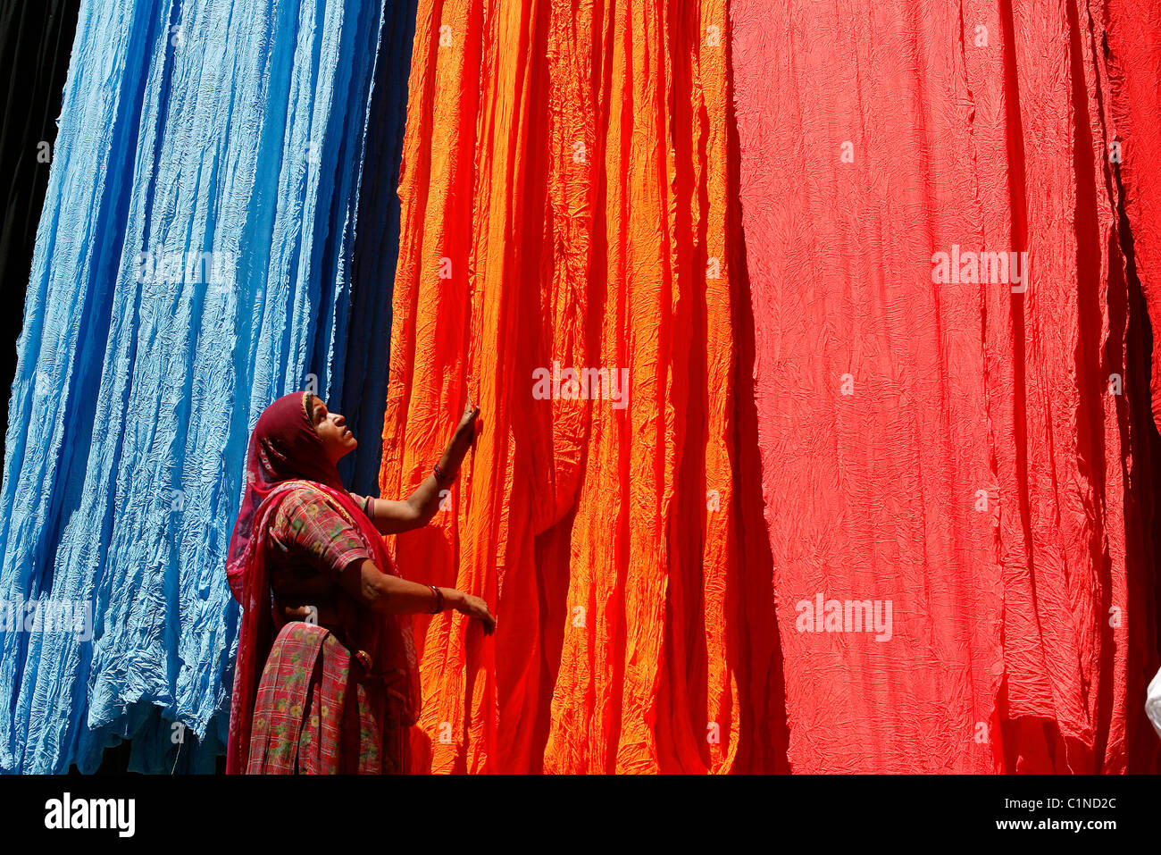 Indien, Rajasthan State, Trocknung von Streifen aus Baumwolle für die Herstellung von sari Stockfoto