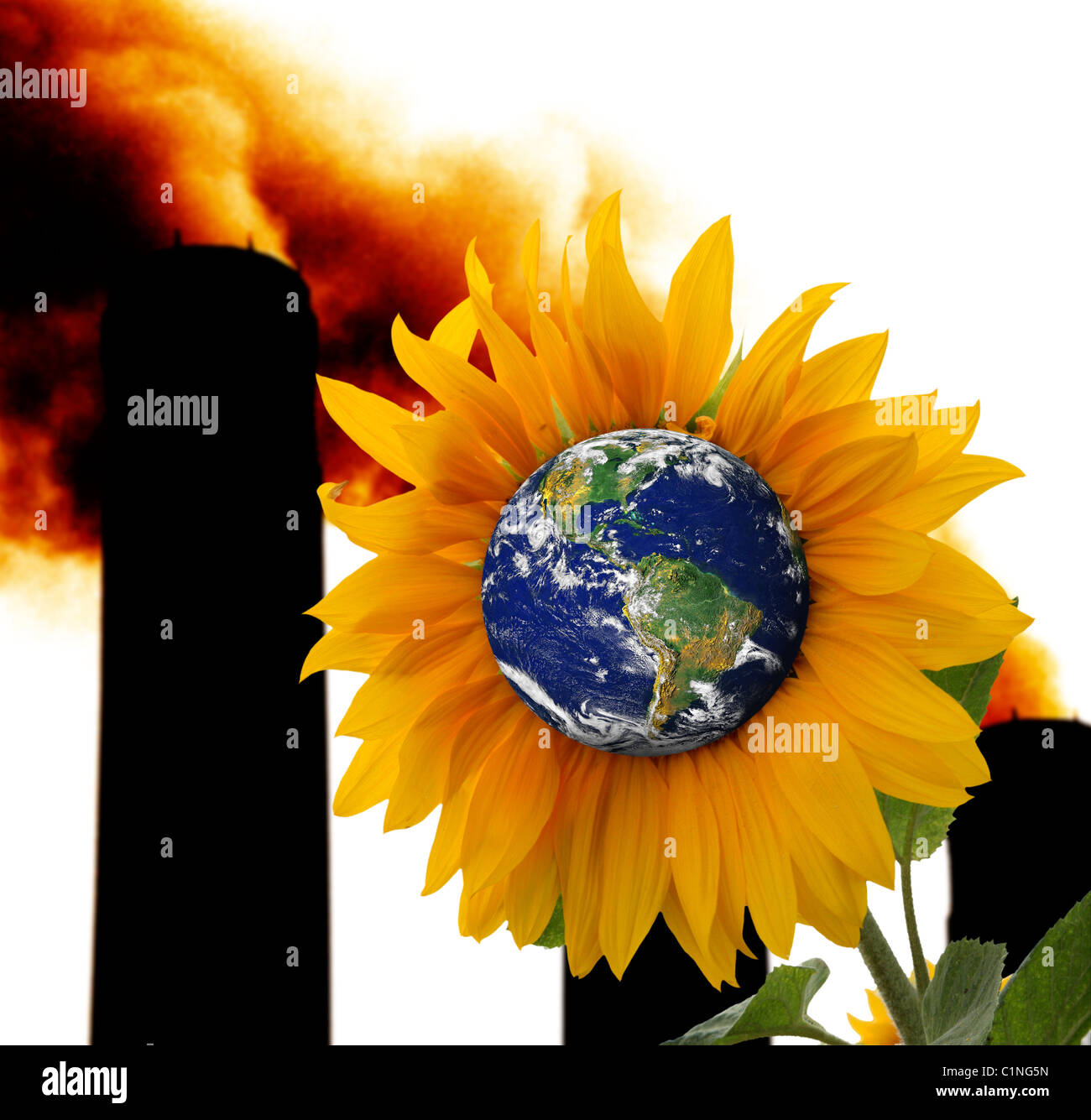 Erde wie eine Sonnenblume, die Erde als einen lebendigen Organismus darstellt. Stockfoto