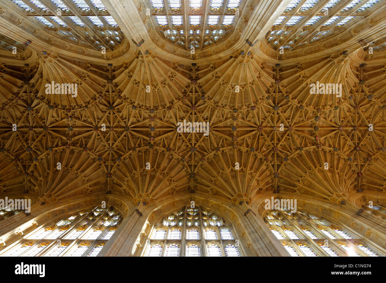 Sherborne Abbey, Gewölbe Im Langhaus Stockfoto