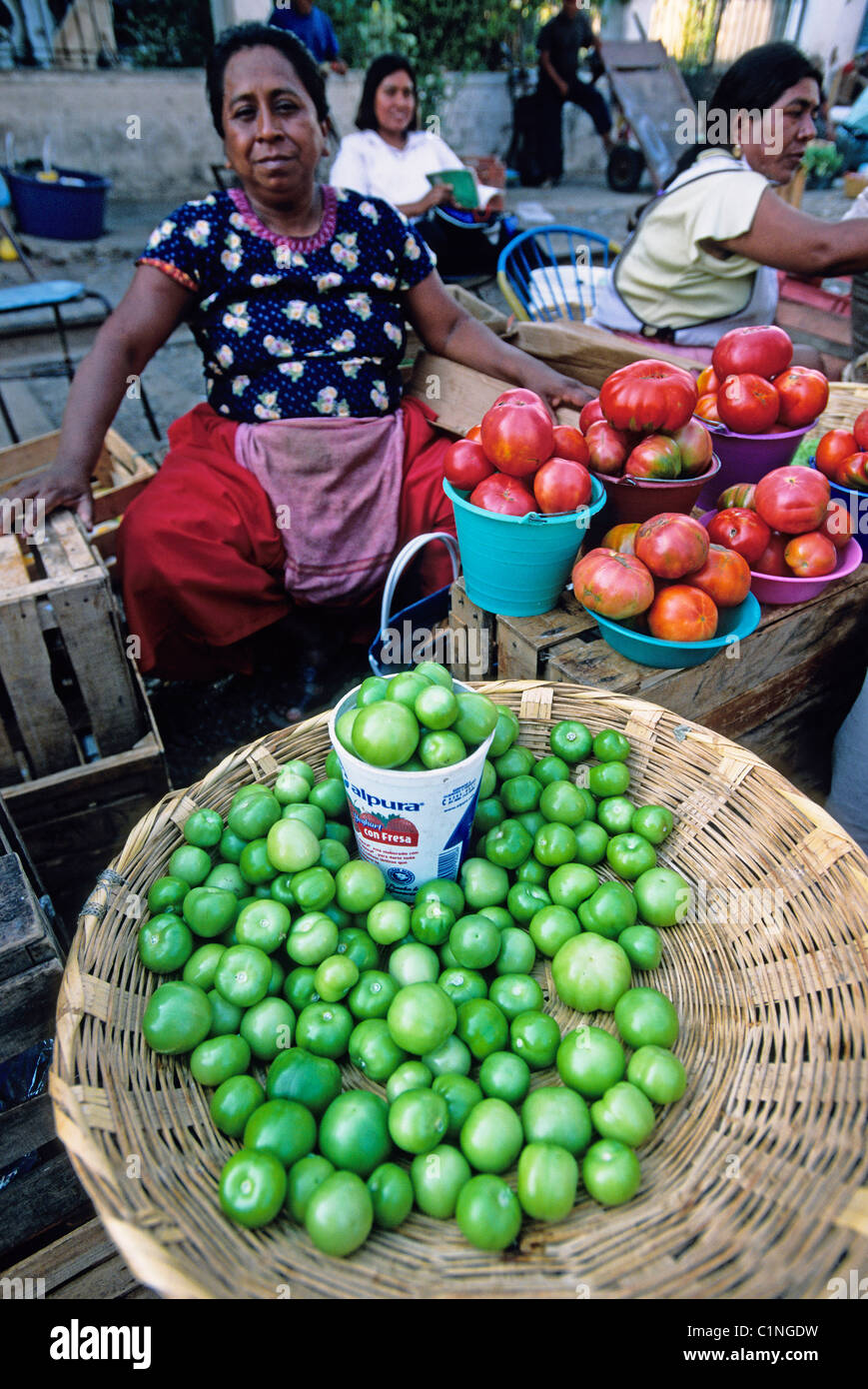 Mexiko, Oaxaca Zustand Tehuantepec, Tomatillos zur Herstellung von Salsa verde Stockfoto