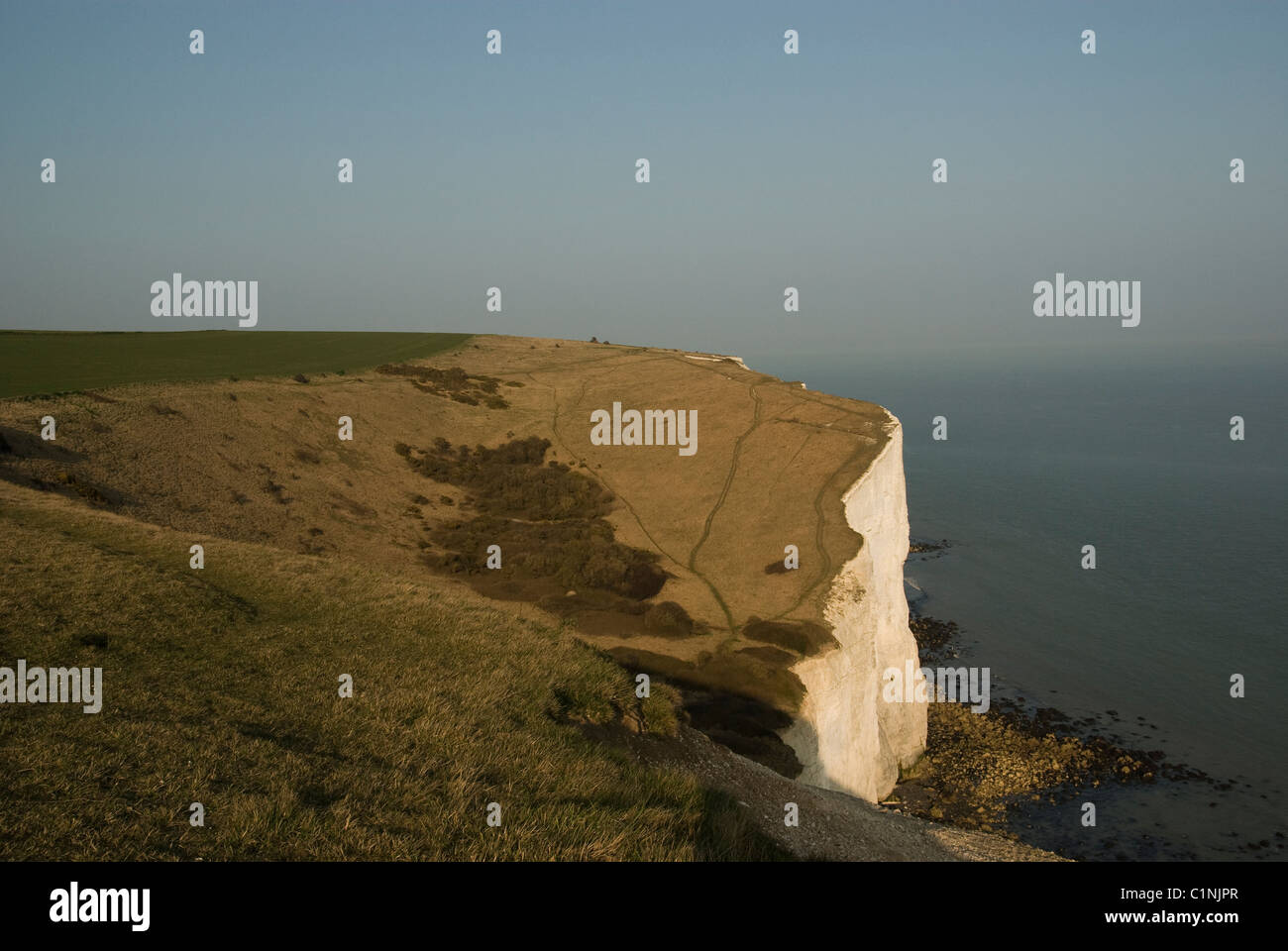 Die weißen Klippen von Dover Stockfoto