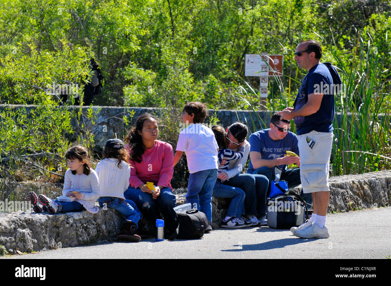 Besucher Anhinga Trail Everglades Nationalpark FL USA Wildlife Ökosystem Natur Stockfoto