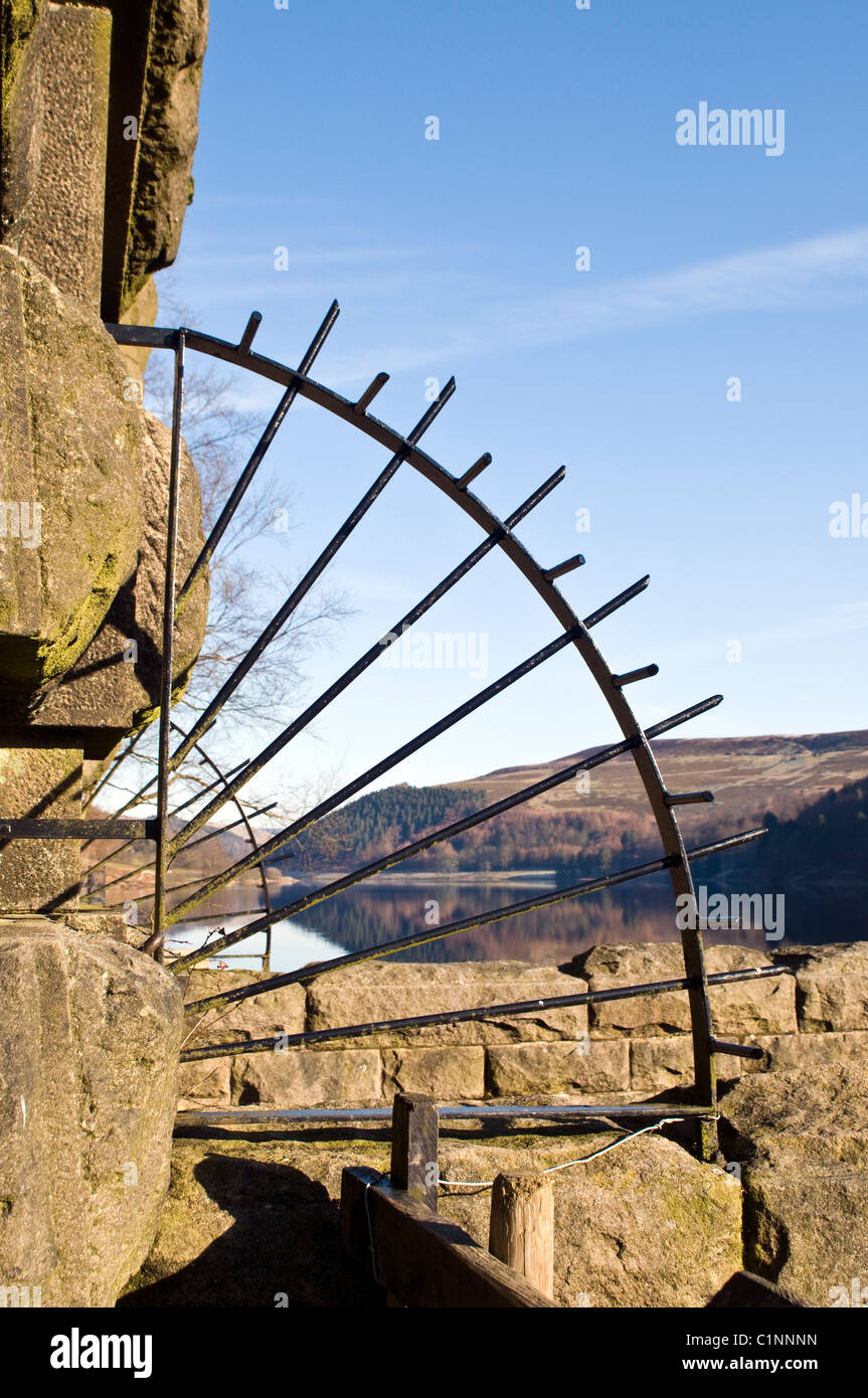 Grillen in Derbyshire Stockfoto