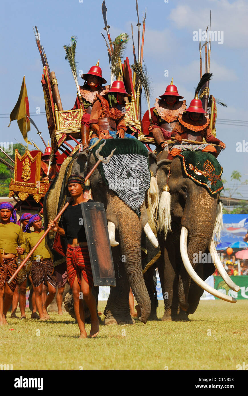 Surin Provinz Surin, Thailand Surin Elephant Round-Up Stockfoto