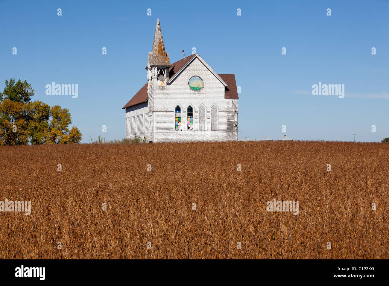 Alte verlassene Landkirche auf Feld auf einem Hügel Stockfoto