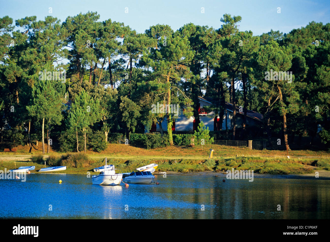 Frankreich, Landes, Hossegor See Stockfoto