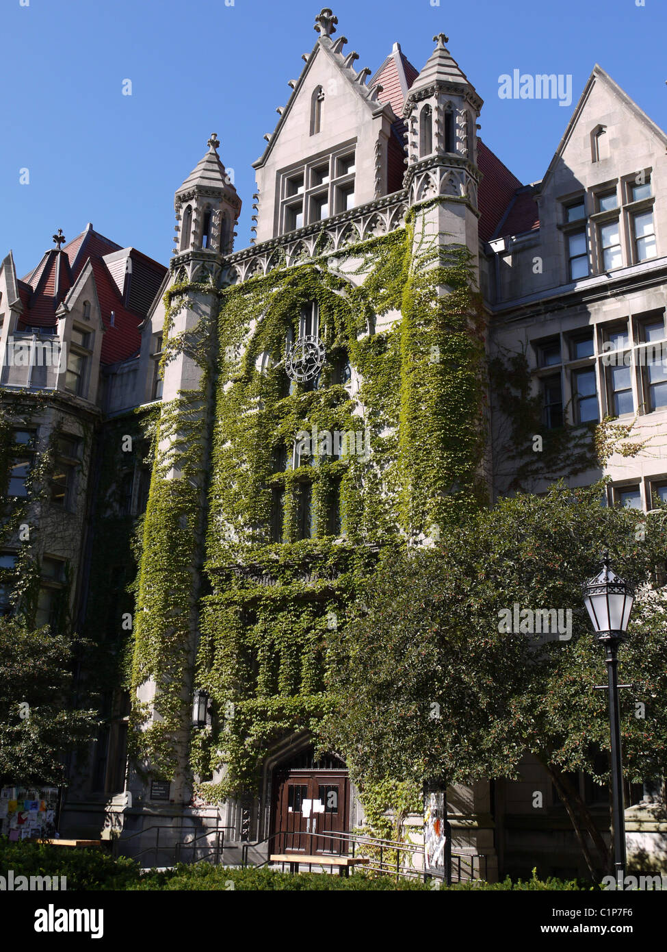 Reben bedeckt Gebäude an Universität von Chicago Stockfoto