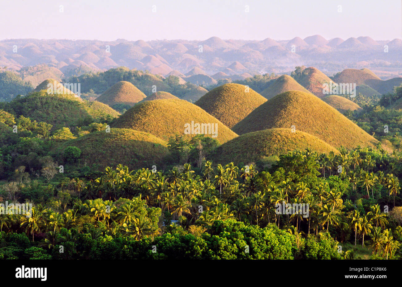 Philippinen, VisayasArchipel, Insel Bohol, Chocolate Hills