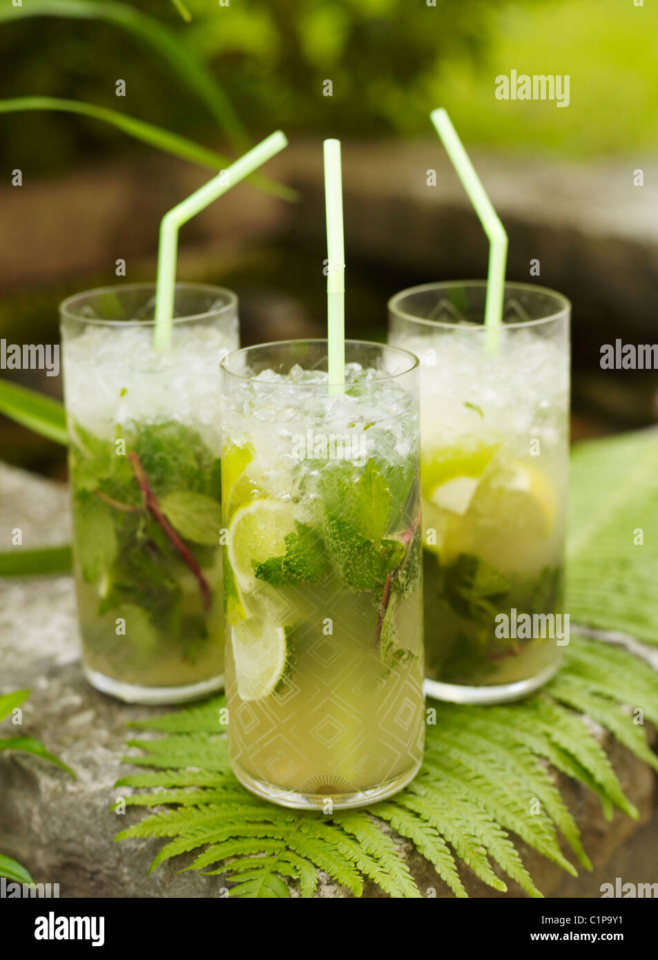 Drei Mojito Cocktails auf Farn Stockfoto