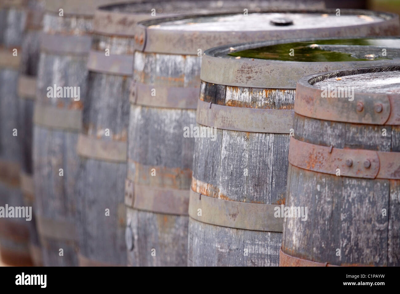 Schottland, Glenfiddich Distillery, alten hölzernen Whisky Fässern Stockfoto