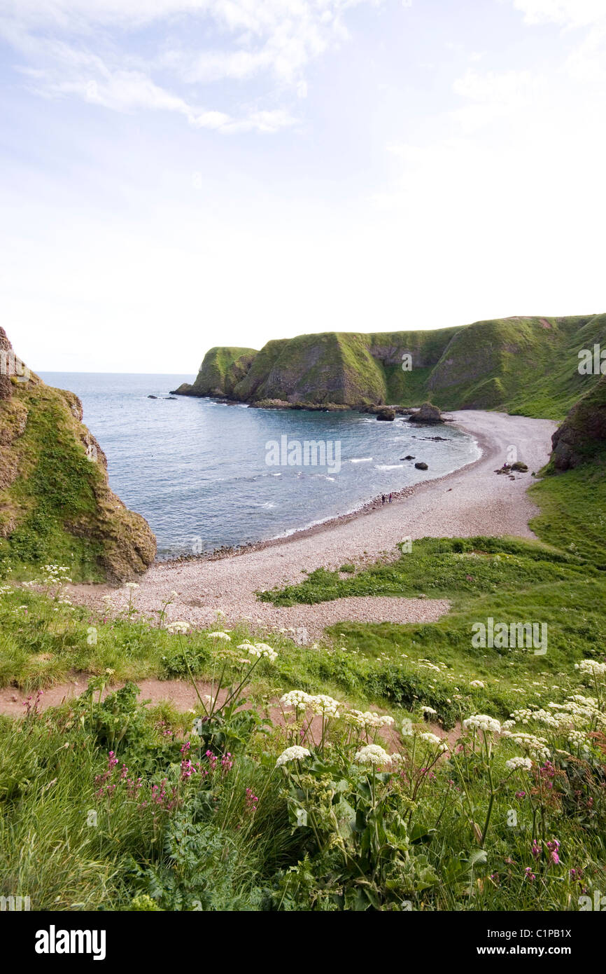 Schottland, Stonehaven, Thornyhive Bay, Strand an der Küste Stockfoto