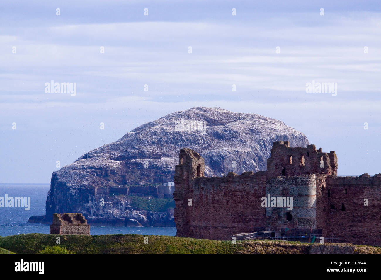 Schottland, Lothian und Ränder, Tantallon Castle, Ruinen der Burg mit Bass Rock im Hintergrund und blauer Himmel oben Stockfoto