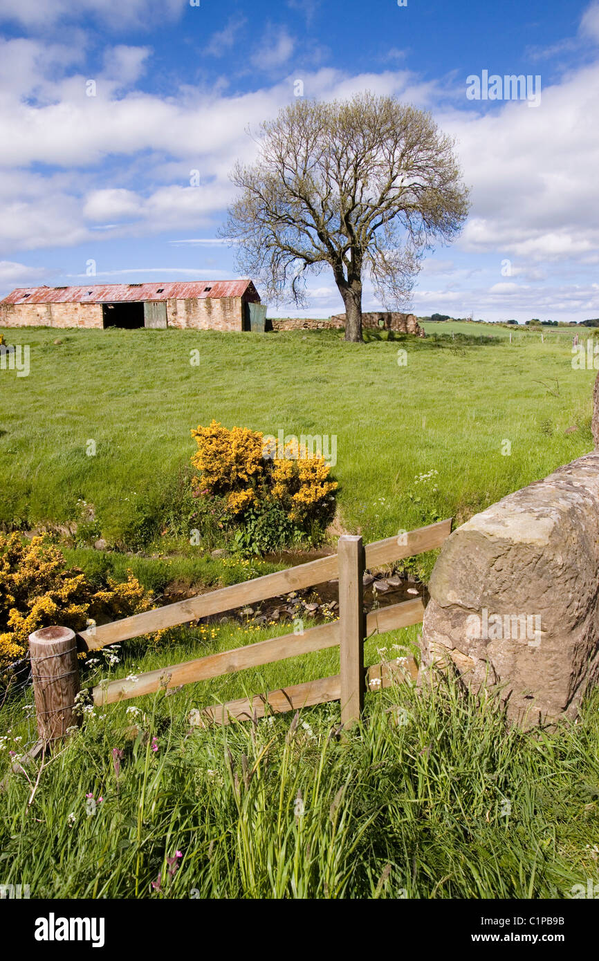 Schottland, Fife, Blick auf alten Bauernhaus mit Zaun und Stein Wand im Vordergrund Stockfoto