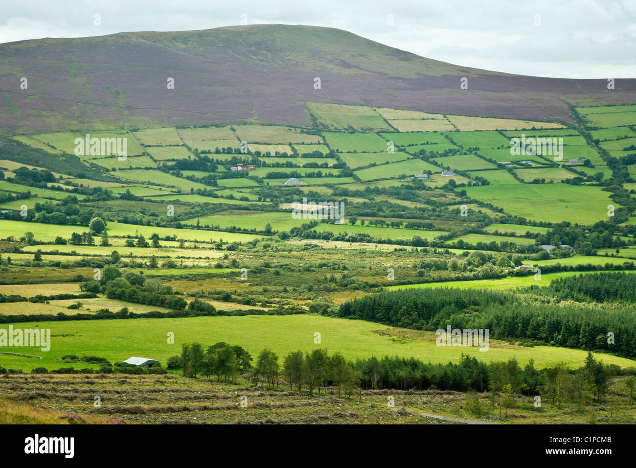 Republik von Irland, County Carlow, Mount Leinster mit Blick auf Landschaft Stockfoto