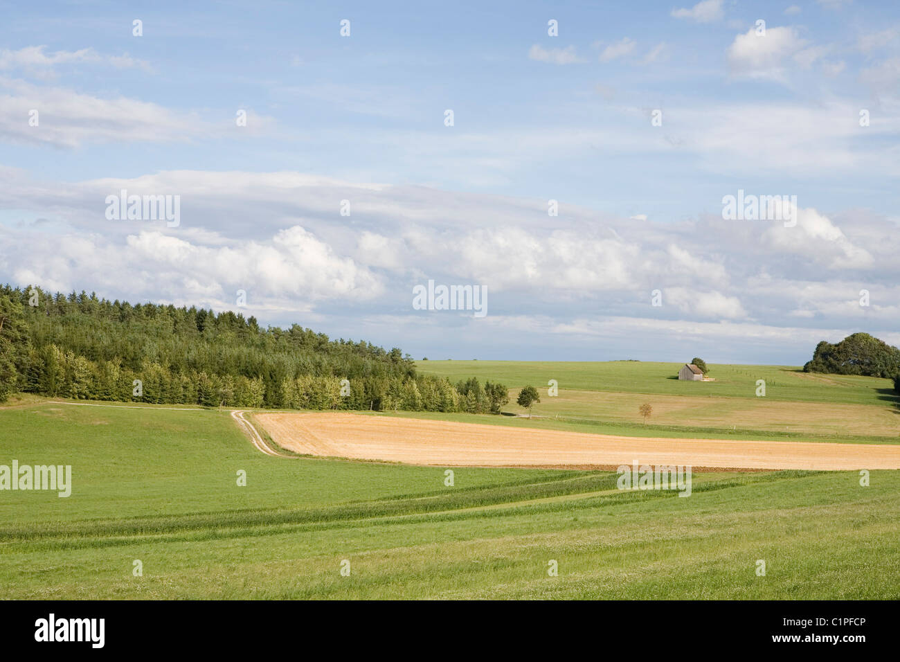 Deutschland, Bayern, landwirtschaftliche Felder Stockfoto