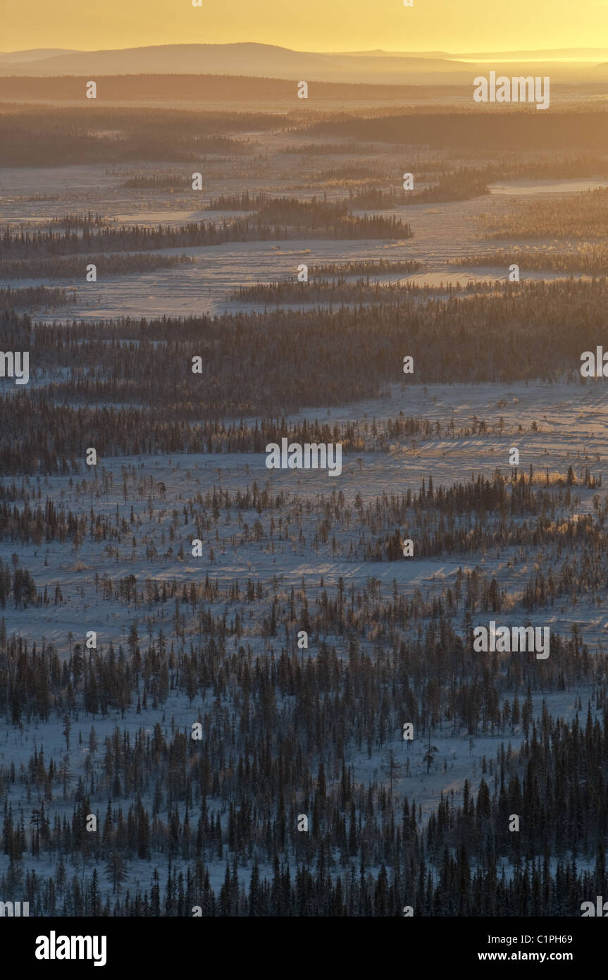 Muddus NP, Lappland, Schweden Stockfoto